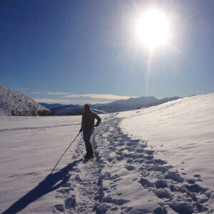 Snowshoe Break